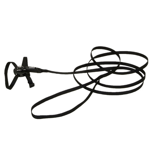 Adjustable Kitten Harness & 6' Leash Combo
