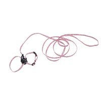 Adjustable Kitten Harness & 6' Leash Combo