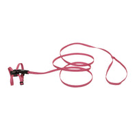 Adjustable Kitten Harness & 6' Leash Combo