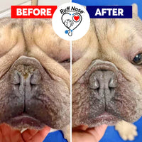 Ruff Nose Pet Nose Repair Balm