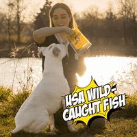 Wild-Caught Fish Jerky, 4-Pack
