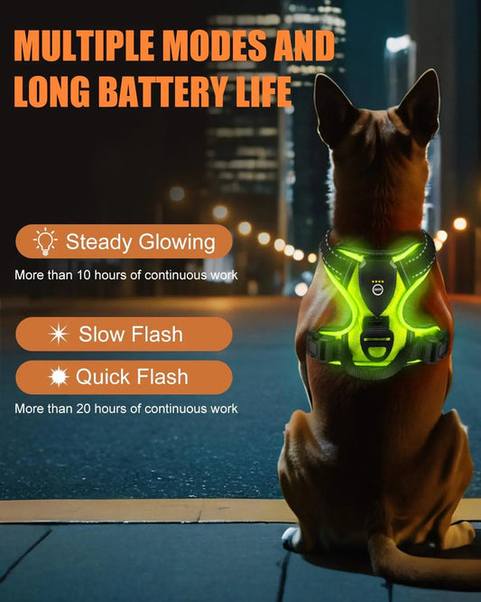 Light-Up LED Dog Harness – Rechargeable No-Pull Vest for Night Walking - BIG FRENCHIES