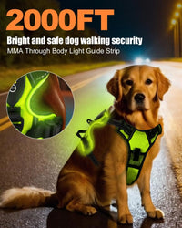 Light-Up LED Dog Harness – Rechargeable No-Pull Vest for Night Walking - BIG FRENCHIES