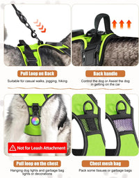 Light-Up LED Dog Harness – Rechargeable No-Pull Vest for Night Walking - BIG FRENCHIES