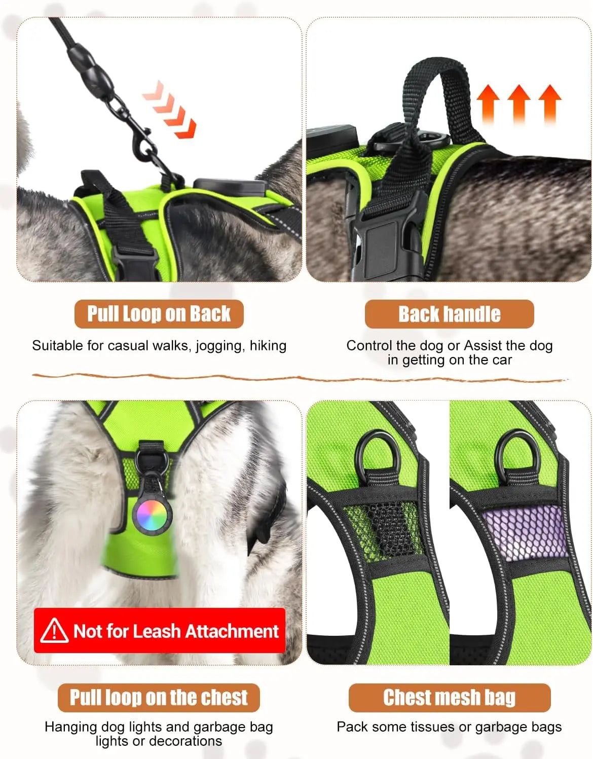 Light-Up LED Dog Harness – Rechargeable No-Pull Vest for Night Walking - BIG FRENCHIES