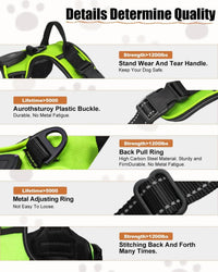 Light-Up LED Dog Harness – Rechargeable No-Pull Vest for Night Walking - BIG FRENCHIES