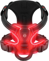 Light-Up LED Dog Harness – Rechargeable No-Pull Vest for Night Walking - BIG FRENCHIES