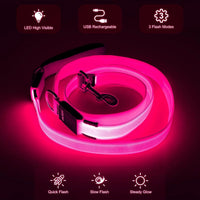 Light Up LED Dog Leash 6FT – USB Rechargeable Glow Leash for Night Safety