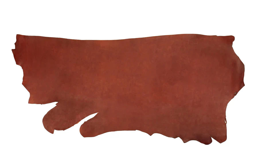 Leather Training Tab - BIG FRENCHIES