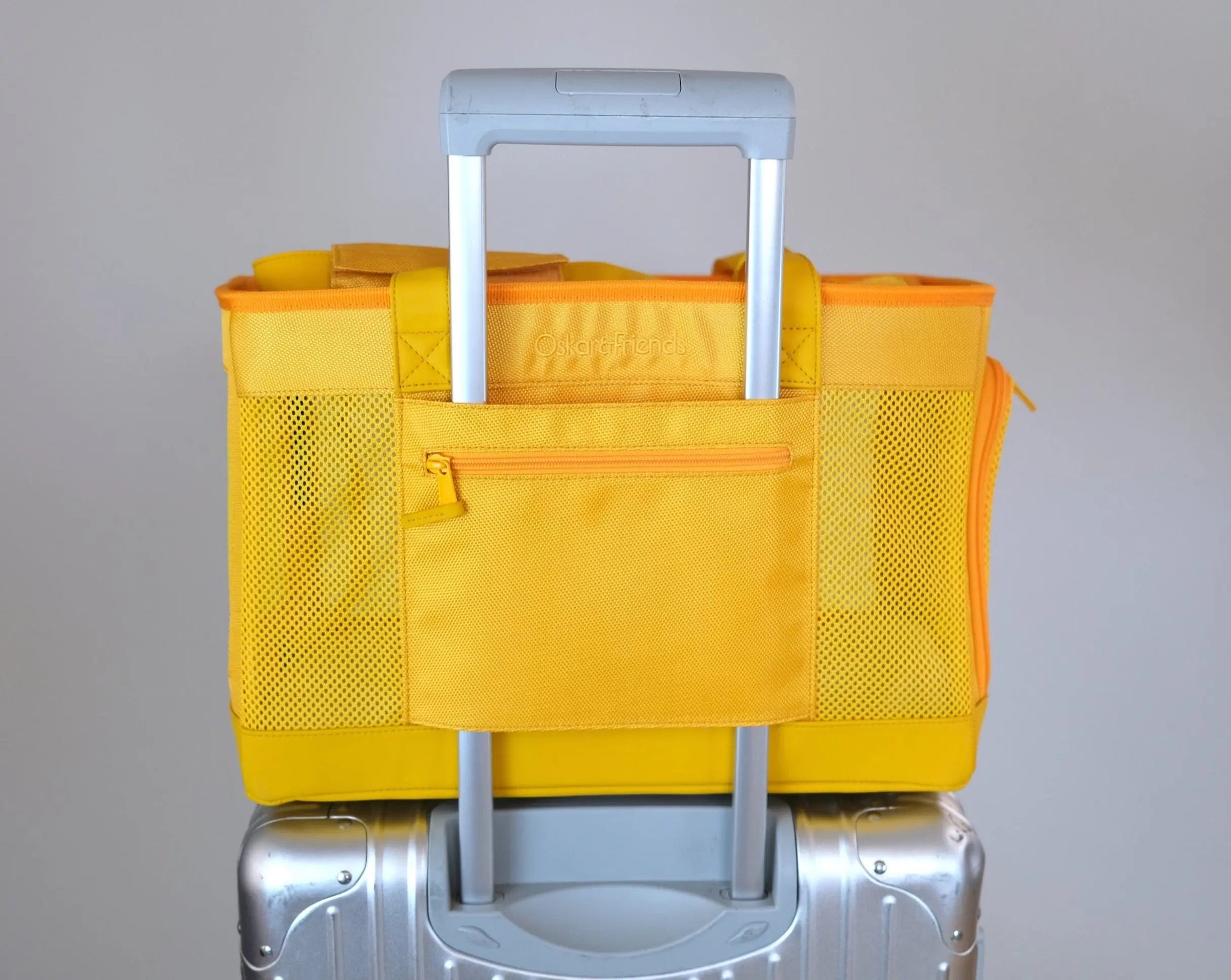 Sunburst Yellow Pet Travel carrier - BIG FRENCHIES