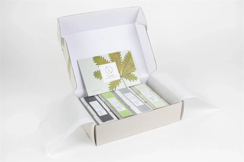 Earthy Shower Steamer Gift Box for Men and Women, Set of 12 Shower Steamers Package - BIG FRENCHIES