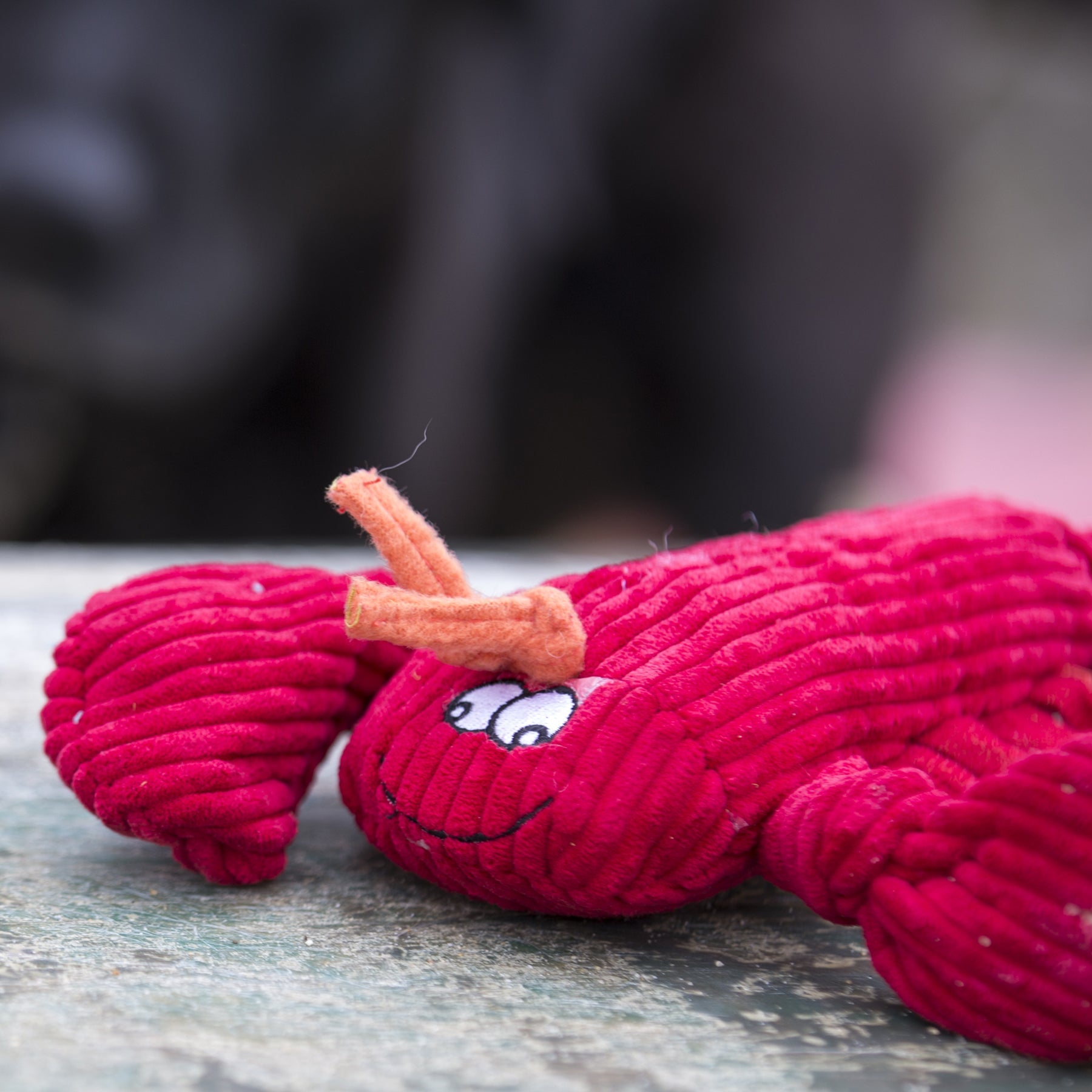 McCracken Lobsta™ Knottie® Plush Dog Toy - BIG FRENCHIES