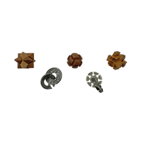 Lost Treasure Collection - 5-Pack of Brainteasers