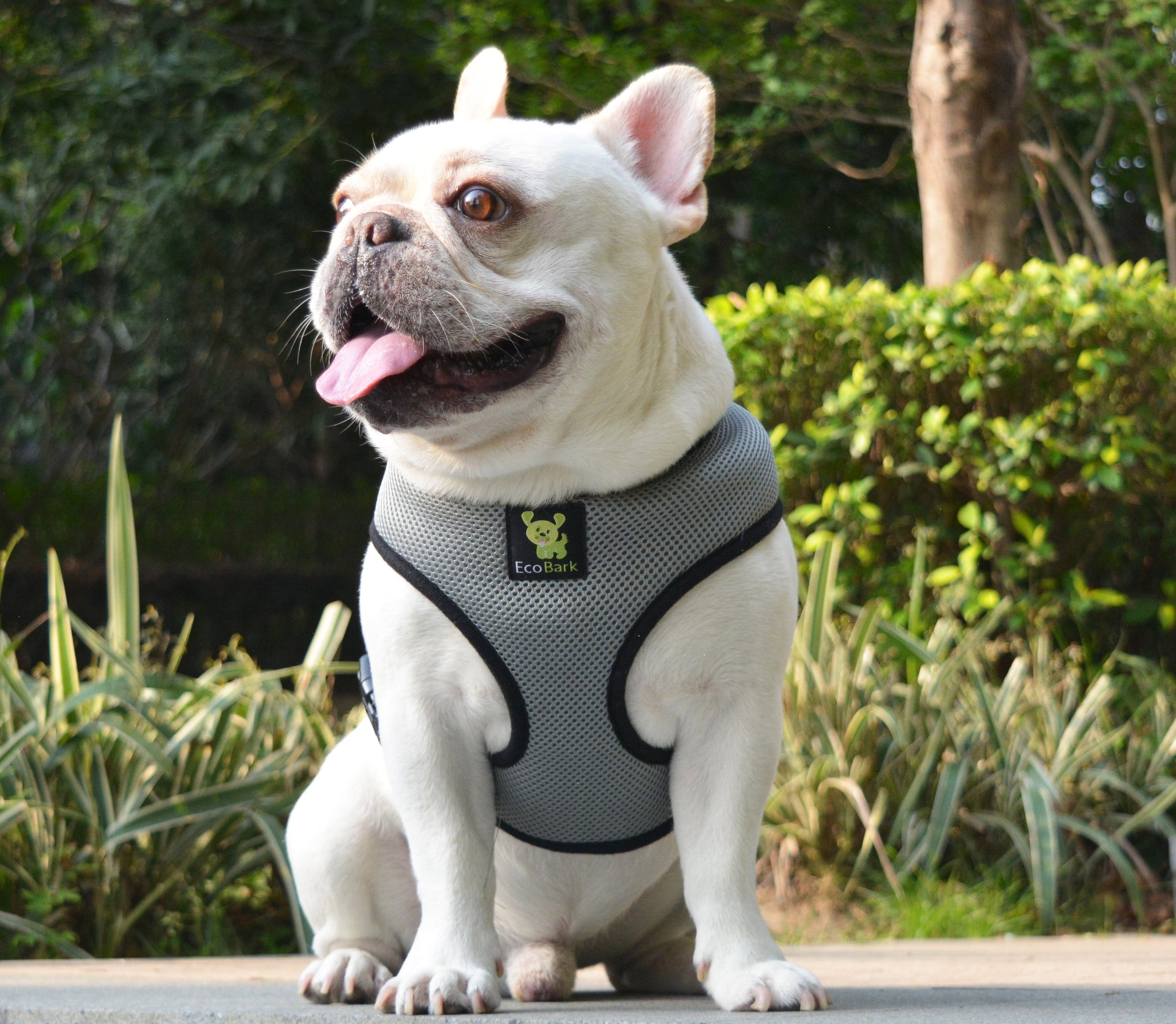 EcoBark Gray Dog Harness - Over-the-Head Dog Soft Mesh Vest Halter for Small to Medium Dogs and Puppies - BIG FRENCHIES