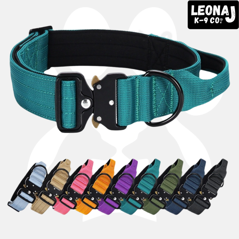 Luxury Sleek Padded Dog Collar-Standard Collars-BIG FRENCHIES-LeonaJ K-9 Co.™ | LJM American Brand | LeonaJmarie