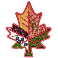 Canadian Maple Leaf Nylon Dog Chew Toy - Indestructible & USA Made - BIG FRENCHIES