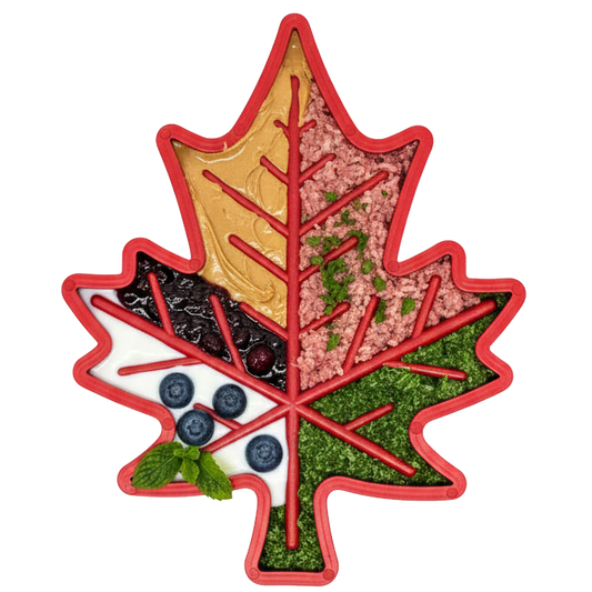 Canadian Maple Leaf Nylon Dog Chew Toy - Indestructible & USA Made - BIG FRENCHIES