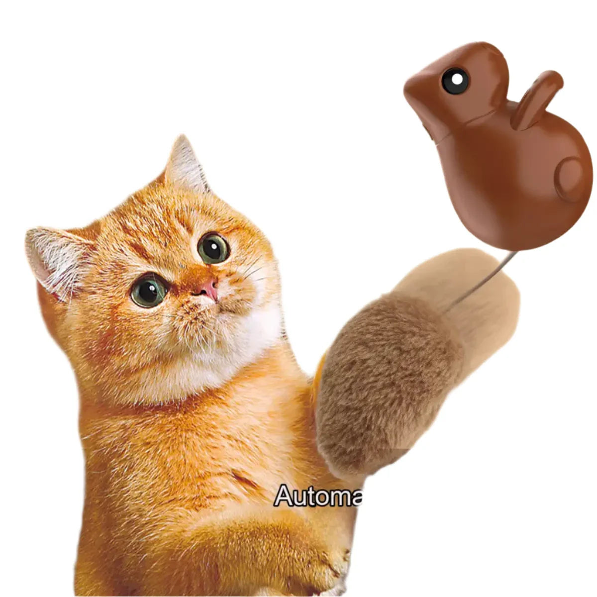 MEACAOFG Automatic cat teaser squirrel toys self hi boredom teaser cat stick kitten cat toys electric smart cat toys