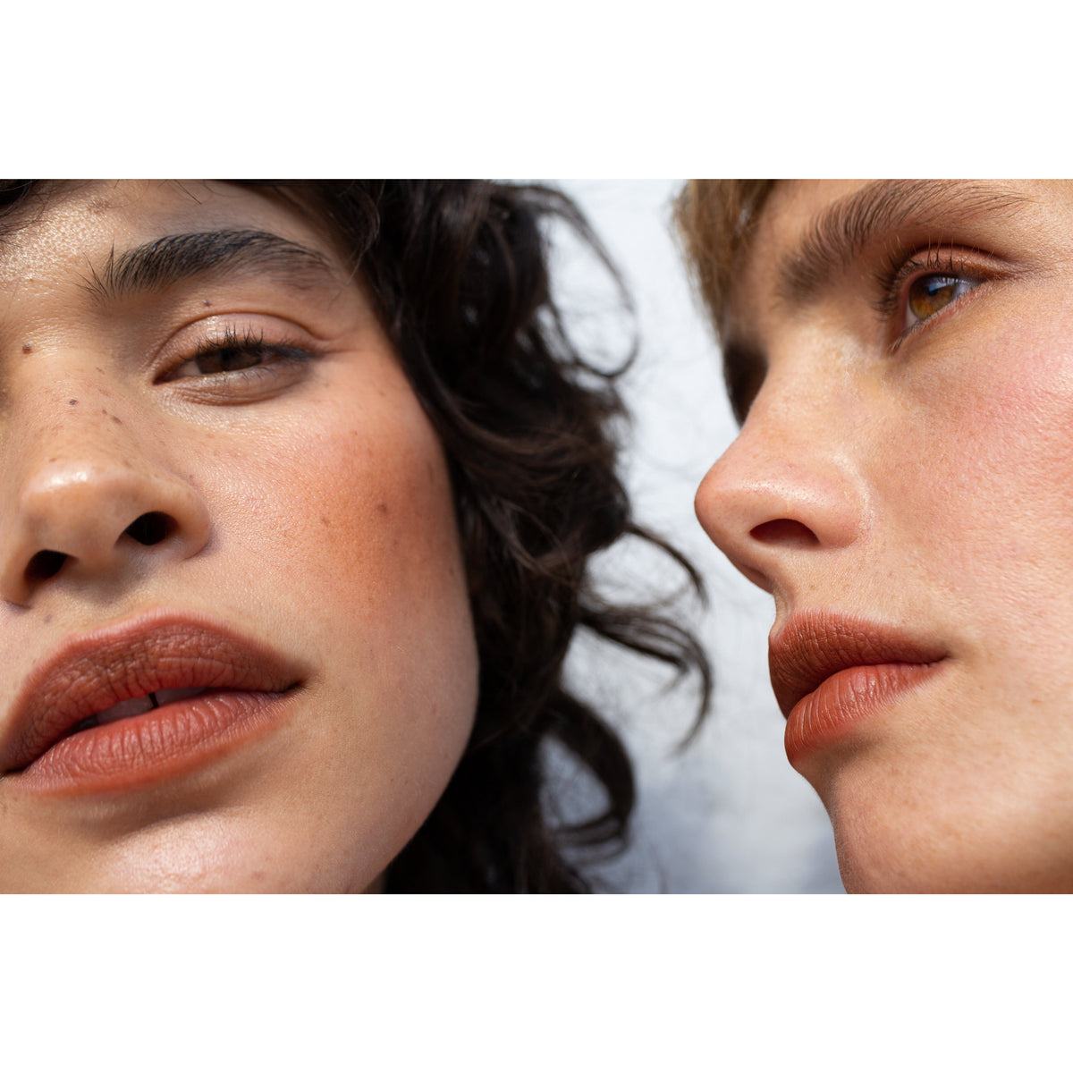 FLUXUS - MULTI-BENE STICK // LIPS + CHEEKS - BIG FRENCHIES