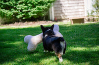 HuggleFleece® 2' Plush Bone Dog Toy - BIG FRENCHIES