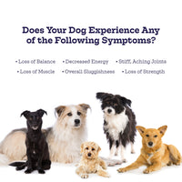 Hip & Joint Chews