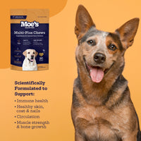 Multi-Plus Chews