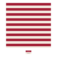 Print Dog Bandana in Classic Candy Cane Stripe