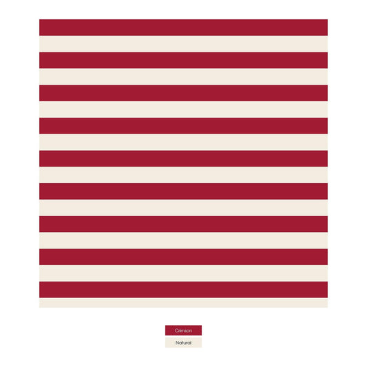 Print Dog Bandana in Classic Candy Cane Stripe