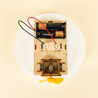Electric Motor DIY Kit, Educational STEM Toy - BIG FRENCHIES