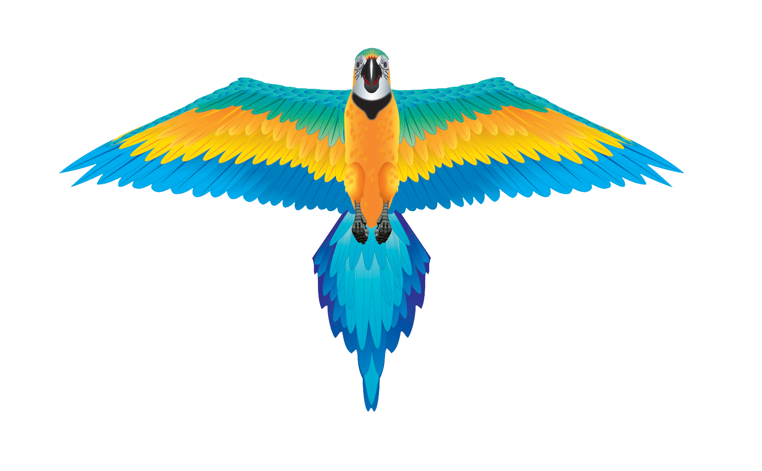 RainForest 61 inch Wingspan Nylon Macaw