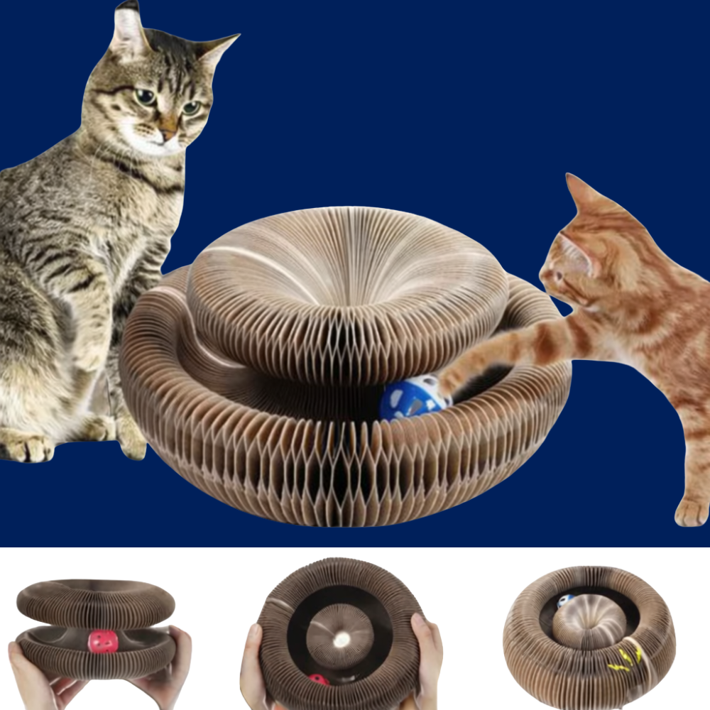 Magic Cat Scratch Toy with Ball – Round Corrugated Claw Board Toy - BIG FRENCHIES