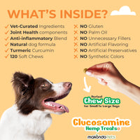 Glucosamine for Dogs - 120 Soft Chews - BIG FRENCHIES
