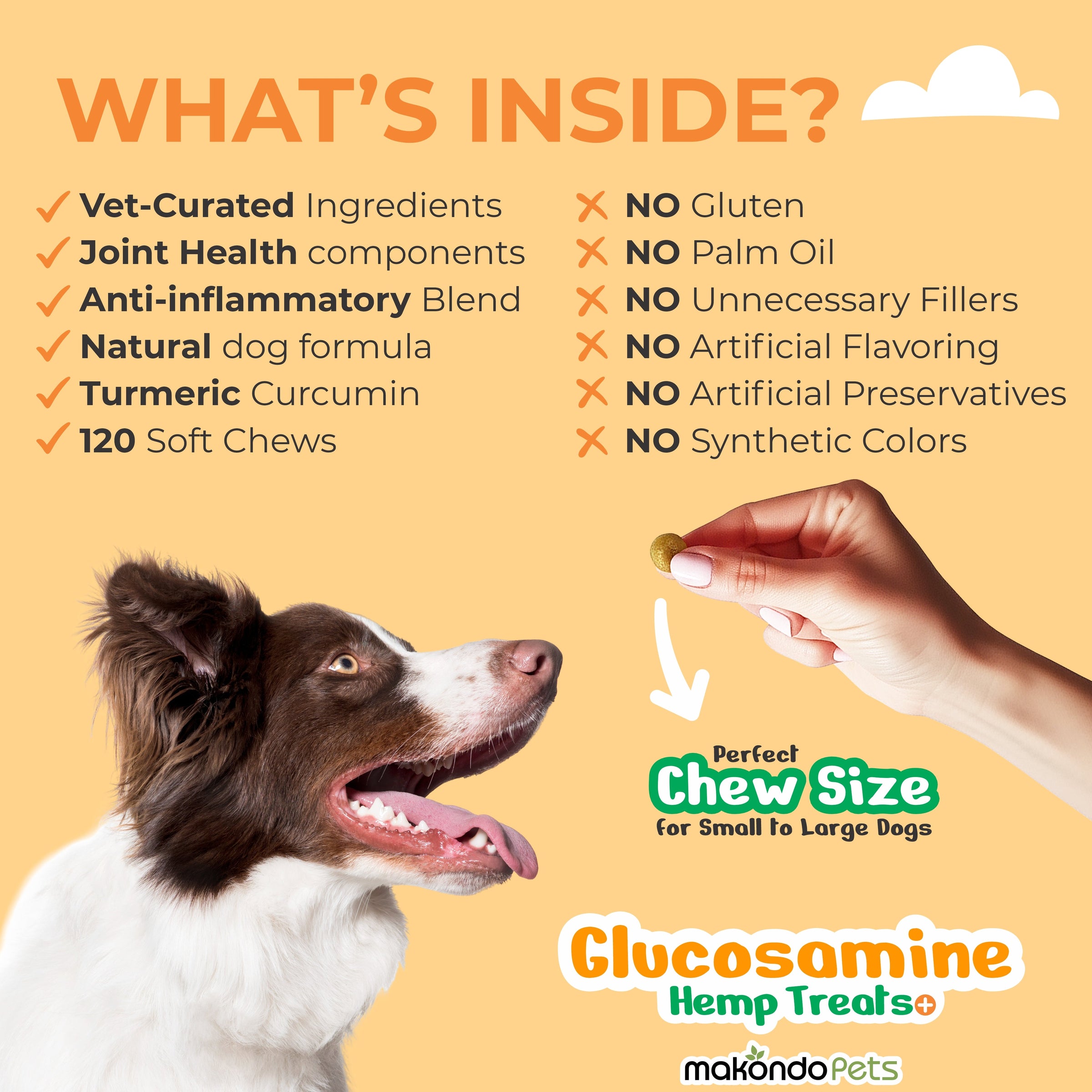 Glucosamine for Dogs - 120 Soft Chews - BIG FRENCHIES