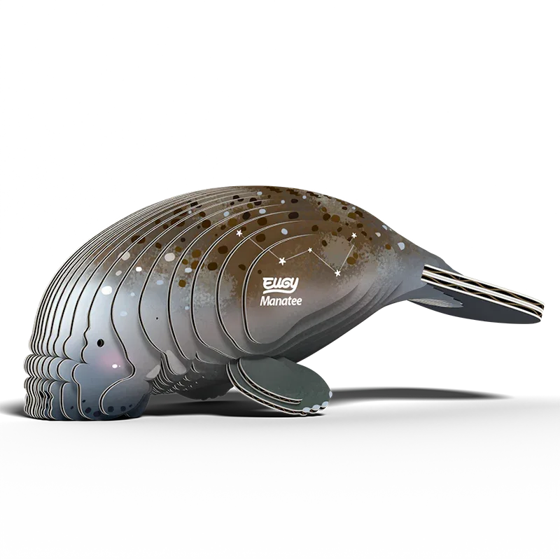 Manatee 3D Cardboard Model Kit Eugy - BIG FRENCHIES