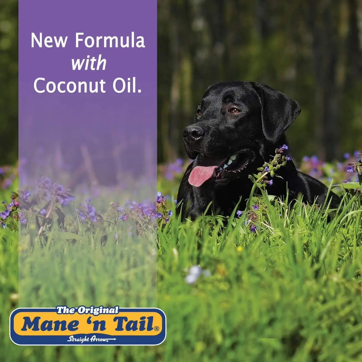 Mane 'n Tail Ultimate Gloss Horse Conditioner Gentle Formula 32oz