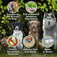 Medicated Dog Shampoo Anti Itch & Yeast Hot Spot Skin Relief 13.5oz