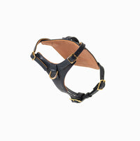 Midnight Heritage Harness
