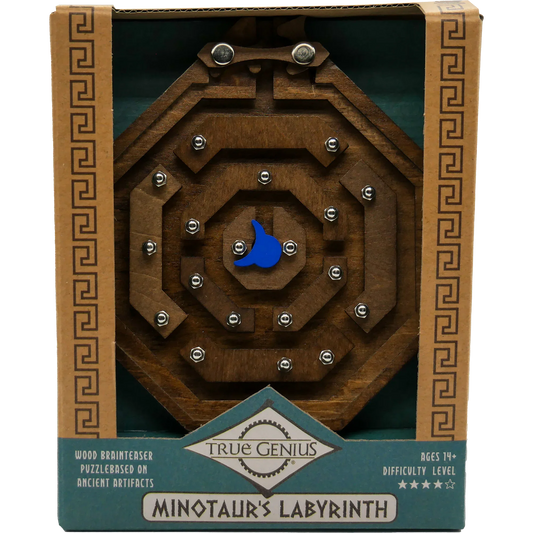 Minotaur's Labyrinth Brainteaser Puzzle True Genius