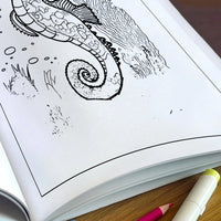 Ocean Wonders Coloring Pages – 48 Pages – Fun Sea Creatures – For Kids - BIG FRENCHIES