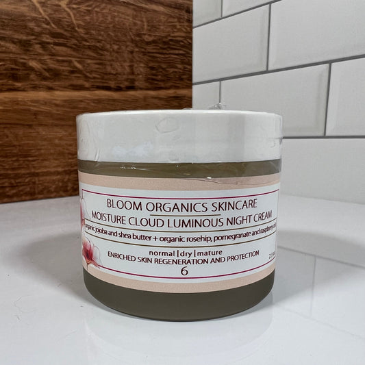 Moisture Cloud Night Cream - BIG FRENCHIES