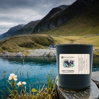 Law Inspired Anime Candle - Sea Salt & Amber Scented Candle - One Piece Gifts