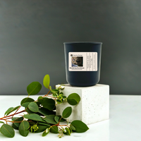 Anime Scented Candle - Zoro Inspired Wondering Swordsman Nature Moss & Forest Musk Candle