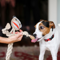 Stuey Sock Monkey Natural Rope Knottie® Dog Toy, Large (9mm rope diameter) - BIG FRENCHIES