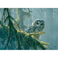 Mossy Branches - Spotted Owl 500 Piece Jigsaw Puzzle Cobble Hill - BIG FRENCHIES