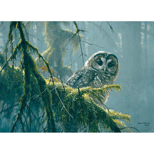 Mossy Branches - Spotted Owl 500 Piece Jigsaw Puzzle Cobble Hill - BIG FRENCHIES