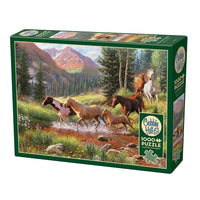 Mountain Thunder 1000 Piece Jigsaw Puzzle Cobble Hill