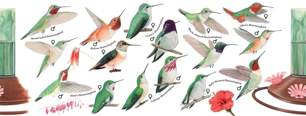 Hummingbirds Mug - BIG FRENCHIES