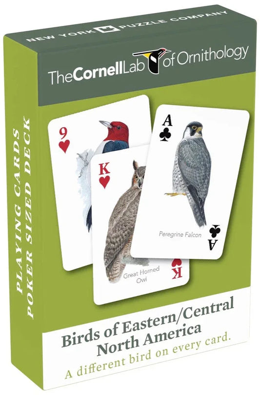 Birds of Eastern/Central North America Playing Cards - BIG FRENCHIES