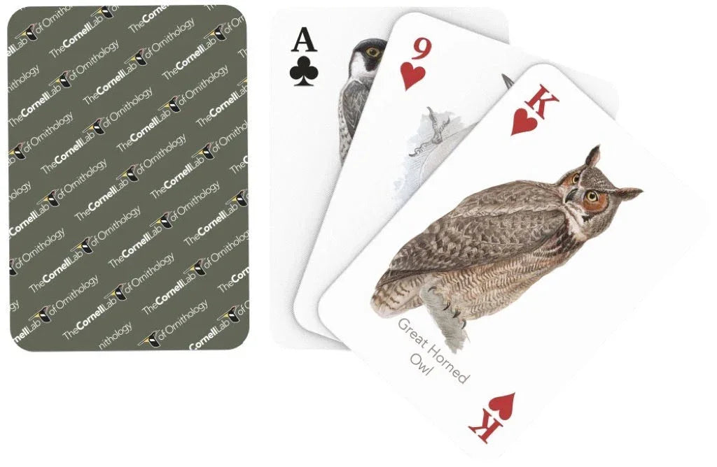 Birds of Eastern/Central North America Playing Cards - BIG FRENCHIES