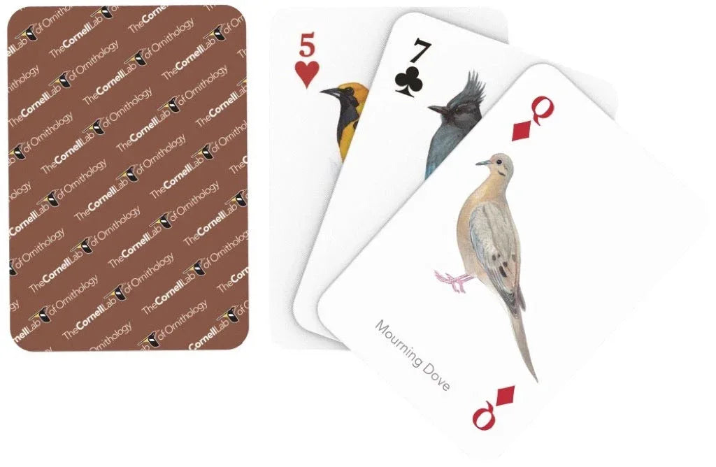 Birds of Western North America Playing Cards - BIG FRENCHIES